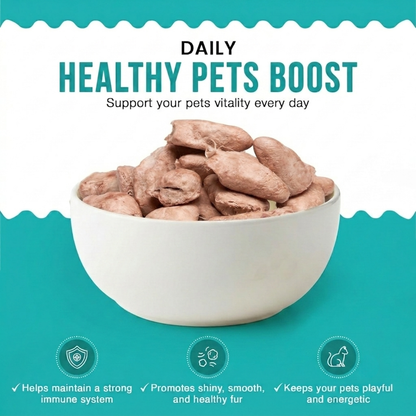 AncestryBite Freeze-Dried Chicken Heart Treats 200g